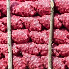 Dakaro ralio šeštasis etapas | Pitlane/Ryčio Šeškaičio nuotr. 77