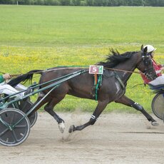 Kęstučio Vanago/RLŽL nuotr. | Organizatorių nuotr. 15