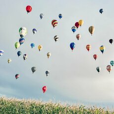 Augustės Vaitkevičienės nuotr. | Organizatorių nuotr. 6