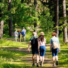 Žygis „Vaikai yra vaikai“ | Organizatorių nuotr. 6