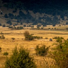 „CFMOTO Thunder Racing Team“ nuotr. | Komandos nuotr. 2