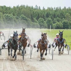 Kęstučio Vanago/RLŽL nuotr. | Organizatorių nuotr. 2