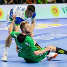 Lietuvių ir slovėnų rungtynės | Patricijos Adamovič / BNS nuotr. 12