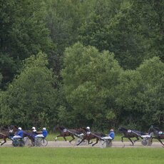 Kęstučio Vanago/RLŽL nuotr. | Organizatorių nuotr. 9
