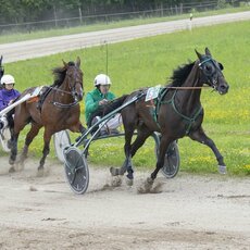Kęstučio Vanago/RLŽL nuotr. | Organizatorių nuotr. 10