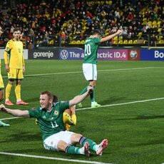 Lietuvos ir Šiaurės Airijos rinktinių rungtynės | Petro Lozdos nuotr. 22
