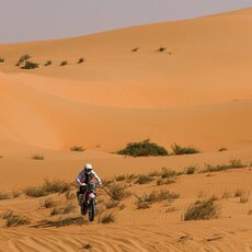 Mykolas Paulavičius | Komandos nuotr. 2