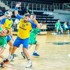 Lietuvių ir ukrainiečių rungtynės | Evaldo Šemioto nuotr. 13