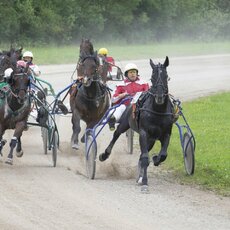 Kęstučio Vanago/RLŽL nuotr. | Organizatorių nuotr. 6