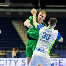 Lietuvių ir slovėnų rungtynės | Patricijos Adamovič / BNS nuotr. 15