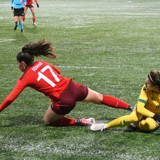 Lietuvių ir šveicarių rungtynės | Petro Lozdos nuotr. 8