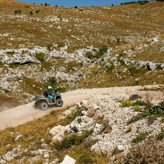 „CFMOTO Thunder Racing Team“ nuotr. | Komandos nuotr. 23