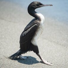 Dakaro ralio šeštasis etapas | Pitlane/Ryčio Šeškaičio nuotr. 57