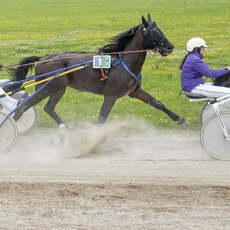 Kęstučio Vanago/RLŽL nuotr. | Organizatorių nuotr. 13