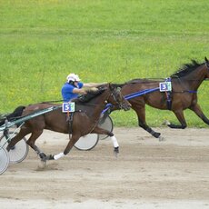 Kęstučio Vanago/RLŽL nuotr. | Organizatorių nuotr. 14