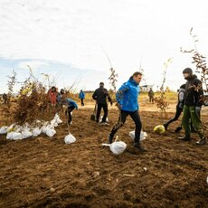 Armando Knezio nuotr. | Organizatorių nuotr. 6