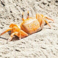 Dakaro ralio septintasis etapas | Pitlane/Ryčio Šeškaičio nuotr. 45