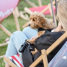 Fotopolis.lt nuotr. | Organizatorių nuotr. 1