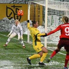 Lietuvių ir šveicarių rungtynės | Petro Lozdos nuotr. 3