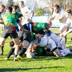 Lietuvių ir vokiečių rungtynės | Evaldo Černiausko nuotr. 14