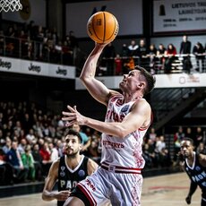 Elvaras Fridrikssonas | FIBA nuotr. 3