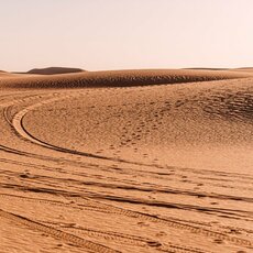 Dakaro ralio aštuntasis etapas | Pitlane/Ryčio Šeškaičio nuotr. 31