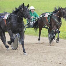 Kęstučio Vanago/RLŽL nuotr. | Organizatorių nuotr. 7
