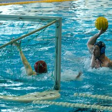 Aliaus Mikelionio nuotr. | Organizatorių nuotr. 24