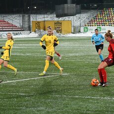 Lietuvių ir šveicarių rungtynės | Petro Lozdos nuotr. 10