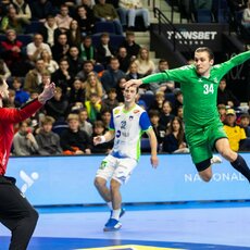 Lietuvių ir slovėnų rungtynės | Patricijos Adamovič / BNS nuotr. 8