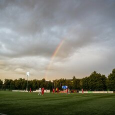 „Hegelmann“ ir „Panevėžio“ rungtynės | E.Kniežausko nuotr. 12