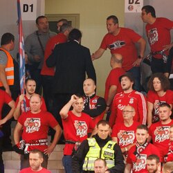 „Ryto“ sirgaliai | Eriko Ovčarenko / BNS foto nuotr. 5