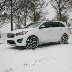 „Kia Sorento“ - 26 tūkst. JAV dolerių | Organizatorių nuotr. 3