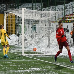 Lietuvių ir šveicarių rungtynės | Petro Lozdos nuotr. 6