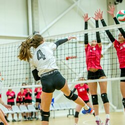 Lietuvos moterų tinklinio čempionato finalai | Evaldo Šemioto nuotr. 5