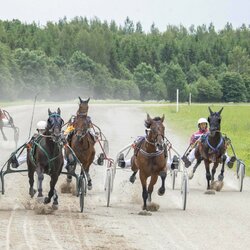 Kęstučio Vanago/RLŽL nuotr. | Organizatorių nuotr. 2