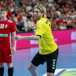 Vengrų ir lietuvių rungtynės | Edgaro Alšausko nuotr. 6