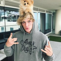 Loganas Paulas | Instagram.com nuotr 6