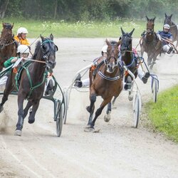 Kęstučio Vanago/RLŽL nuotr. | Organizatorių nuotr. 5