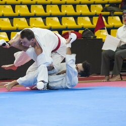 Lietuvos šotokan karatė čempionatas | Organizatorių nuotr. 3
