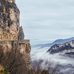 Virusas sustabdė Monte Karlo Ralį, bet ne K.Raišio „Jaguar“ | asmeninio archyvo nuotr. 5