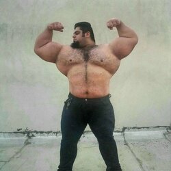 Sajadas Gharibi | Instagram.com nuotr 3