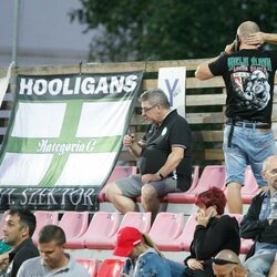 „Ferencvaroš“ sirgaliai | Eriko Ovčarenko / BNS foto nuotr. 5