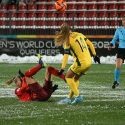 Lietuvių ir šveicarių rungtynės | Petro Lozdos nuotr. 4