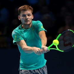 Davidas Goffinas | Scanpix nuotr. 1