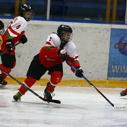 Lietuvių ir bulgarių rungtynės | Organizatorių nuotr. 2