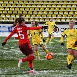 Lietuvių ir šveicarių rungtynės | Petro Lozdos nuotr. 1