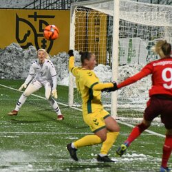 Lietuvių ir šveicarių rungtynės | Petro Lozdos nuotr. 3