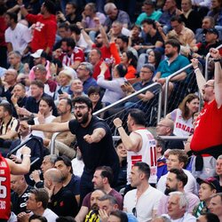 Pirėjo Olympiacos fanai | Eriko Ovčarenko / BNS foto nuotr. 3