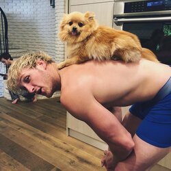 Loganas Paulas | Instagram.com nuotr 5